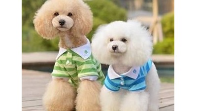 寵物用品批發【嘉美樂】滿滿干貨分享